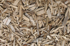 biomass boilers Pobgreen